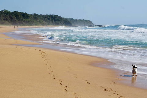 Culburra Beachhouse - Accommodation Port Macquarie 7