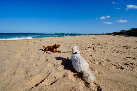 Culburra Beachhouse - Accommodation Port Macquarie 8