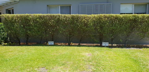 2 Austinmer Studio - Accommodation Port Macquarie 12