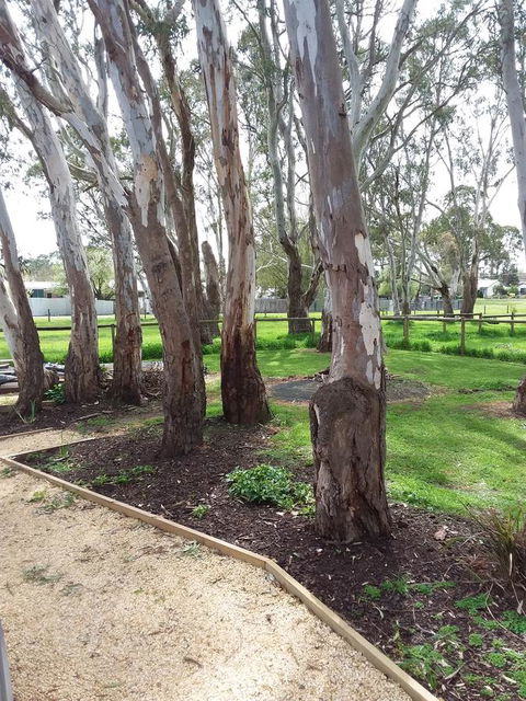 Cloisters Of Kalangadoo - Accommodation Port Macquarie 6