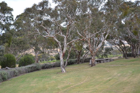 Cabernet Cottage - Accommodation Port Macquarie 8