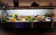 The Anglers Inn - thumb 21
