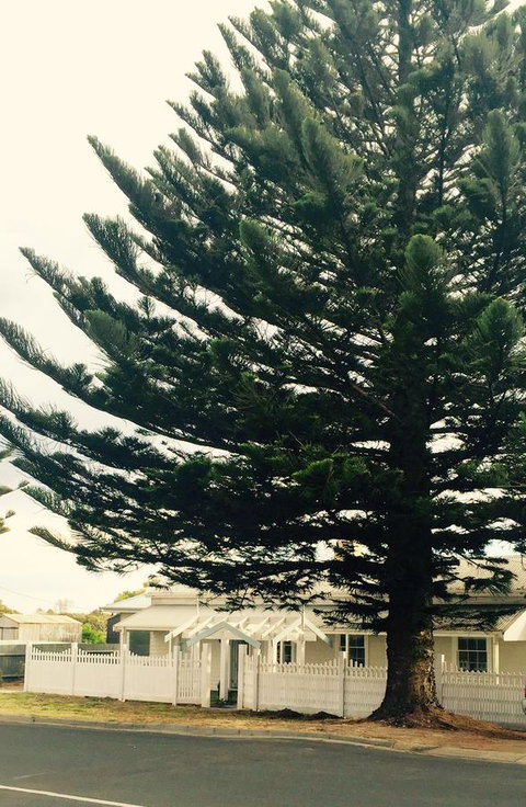 Railway Cottage In Beachport - Accommodation Port Macquarie 13