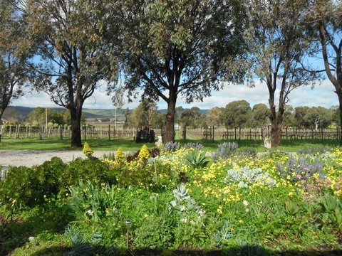 Linger Longer Vineyard - Accommodation Port Macquarie 17