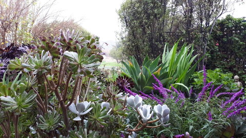 Linger Longer Vineyard - Accommodation Port Macquarie 15
