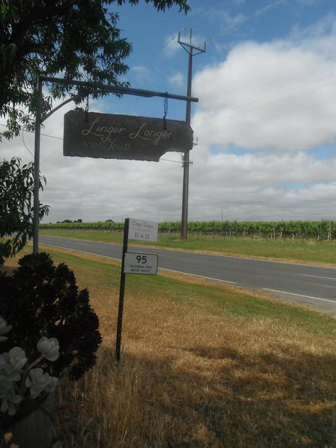 Linger Longer Vineyard - Accommodation Port Macquarie 19