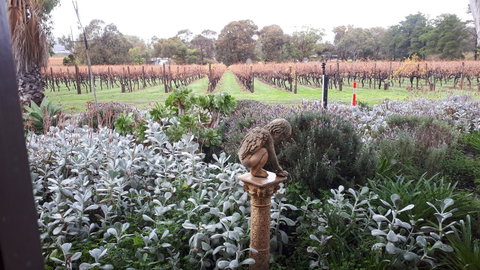 Linger Longer Vineyard - Accommodation Port Macquarie 4