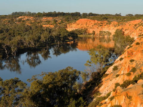 Echo Holiday Parks - Renmark - Accommodation Port Macquarie 11