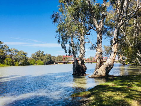 Echo Holiday Parks - Renmark - Accommodation Port Macquarie 5