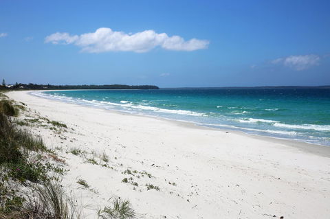 Wildwood I Pet Friendly I 5 Mins To Beach - Accommodation Port Macquarie 14