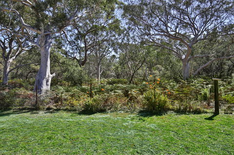Wildwood I Pet Friendly I 5 Mins To Beach - Accommodation Port Macquarie 17