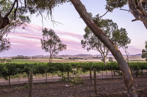 Jasmine\'s Barossa Valley Cottage - Accommodation Port Macquarie 19