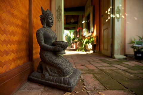 The Lotus Eater - Accommodation Port Macquarie 7