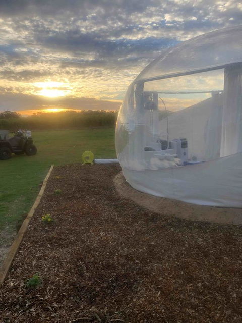 Coonawarra Bubble Tents - Accommodation Port Macquarie 6
