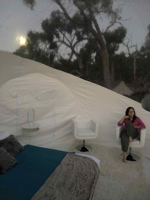 Coonawarra Bubble Tents - Accommodation Port Macquarie 1