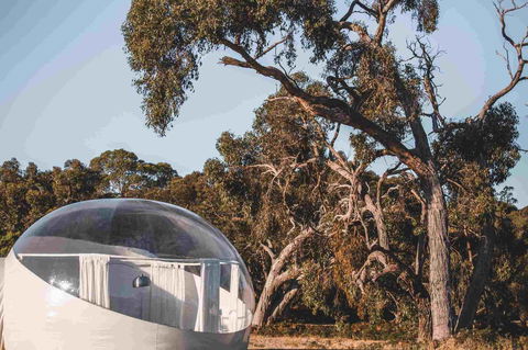 Coonawarra Bubble Tents - Accommodation Port Macquarie 10
