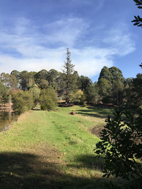 Forest Lodge Resort - Accommodation Port Macquarie 31