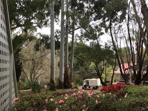 Forest Lodge Resort - Accommodation Port Macquarie 11