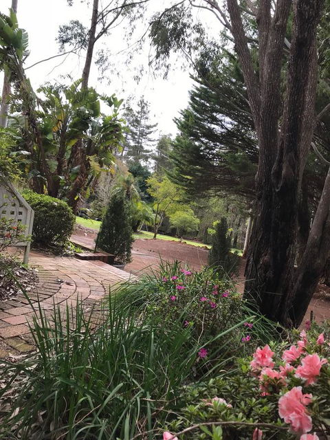 Forest Lodge Resort - Accommodation Port Macquarie 10