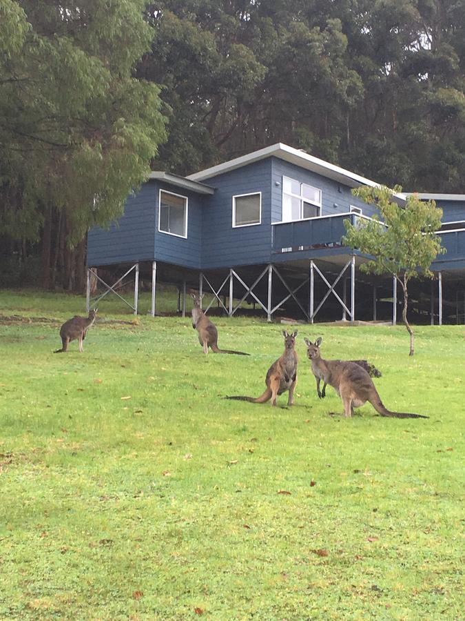 Trent WA Accommodation Port Macquarie