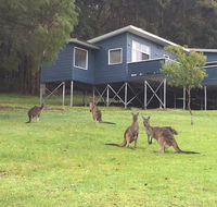 Blue House Denmark - Accommodation Port Macquarie