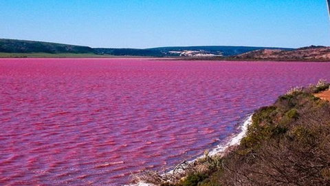 Kanga Cottage - Accommodation Port Macquarie 38