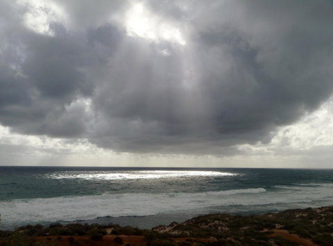 Kanga Cottage - Accommodation Port Macquarie 33