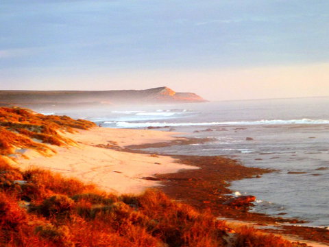 Kanga Cottage - Accommodation Port Macquarie 26