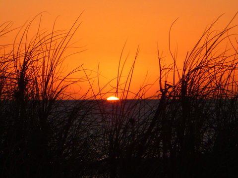 Kanga Cottage - Accommodation Port Macquarie 27