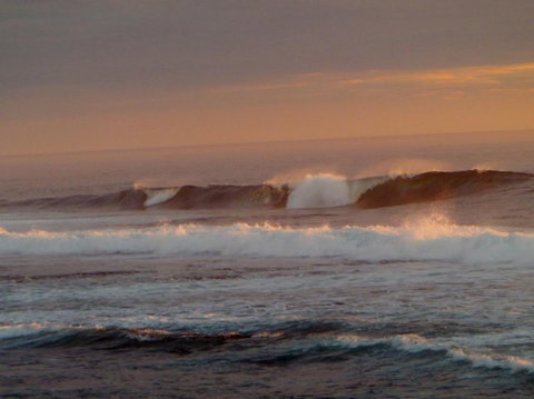 Kanga Cottage - Accommodation Port Macquarie 42