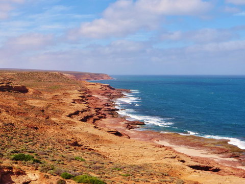 Kanga Cottage - Accommodation Port Macquarie 32