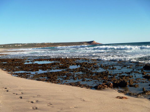 Kanga Cottage - Accommodation Port Macquarie 31