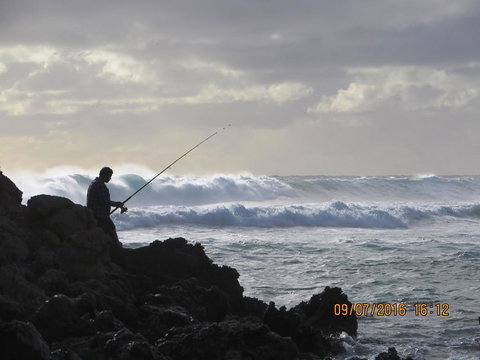 Kanga Cottage - Accommodation Port Macquarie 44