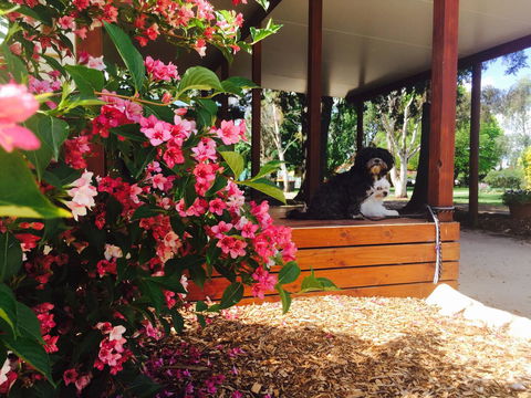Armidale Tourist Park - Accommodation Port Macquarie 34