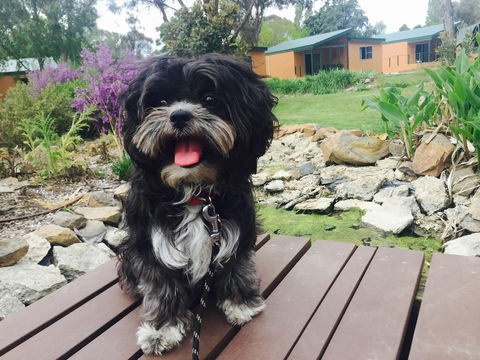 Armidale Tourist Park - Accommodation Port Macquarie 32