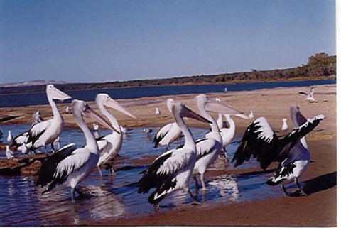 Unit 42 Kalbarri Beach Resort - Accommodation Port Macquarie 17