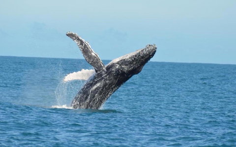 Unit 42 Kalbarri Beach Resort - Accommodation Port Macquarie 20