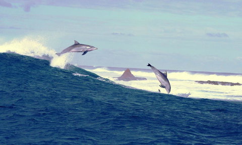 Unit 42 Kalbarri Beach Resort - Accommodation Port Macquarie 22