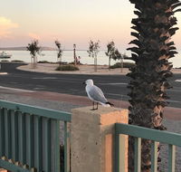 Shark Bay Seafront Apartments - Accommodation Port Macquarie