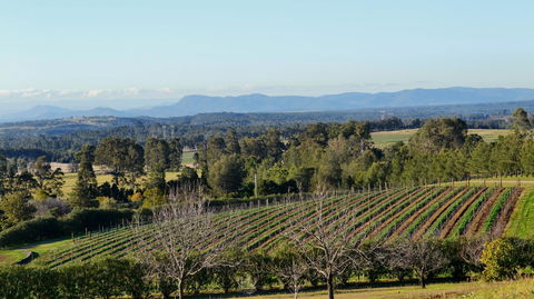 Grapevines Boutique Accommodation - Accommodation Port Macquarie 21