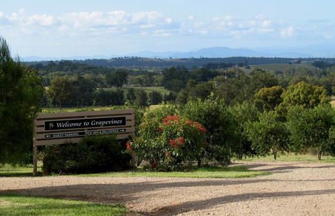 Grapevines Boutique Accommodation - Accommodation Port Macquarie 15