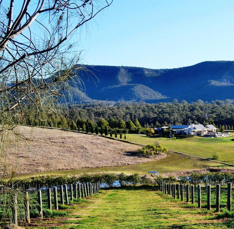 Grapevines Boutique Accommodation - Accommodation Port Macquarie 5