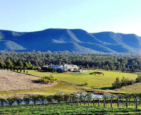 Grapevines Boutique Accommodation - Accommodation Port Macquarie 0