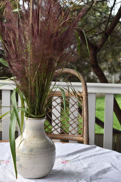 Lavender Cottage - Accommodation Port Macquarie 22
