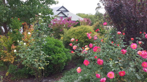 Glenelg On King Bed & Breakfast - Accommodation Port Macquarie 15