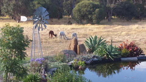 Glenelg On King Bed & Breakfast - Accommodation Port Macquarie 19
