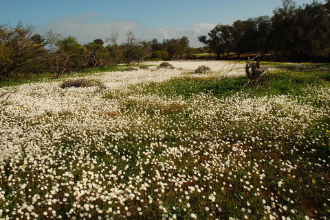 Kalbarri Seafront Villas - Accommodation Port Macquarie 35