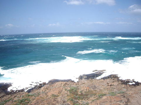 Bella Bali Gardens - Accommodation Port Macquarie 30