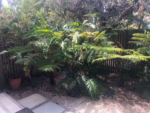 East On Byron - Accommodation Port Macquarie 40