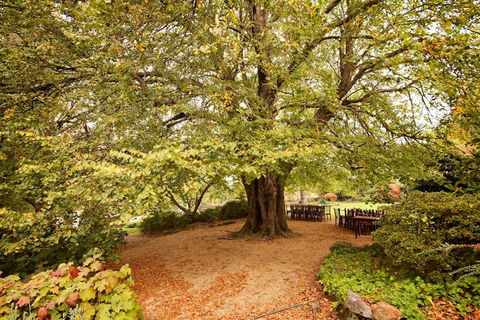 Nesuto Leura Gardens (formerly Waldorf Leura Gardens Resort) - Accommodation Port Macquarie 1